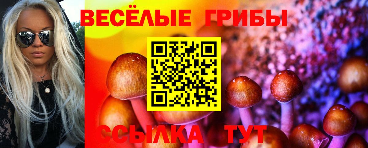 Галлюциногенные грибы прущие грибы Коломна